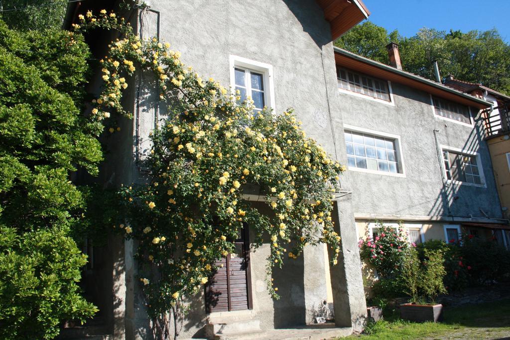 Bed and Breakfast Fattoria Del Pino Орта-Сан-Джулио Экстерьер фото