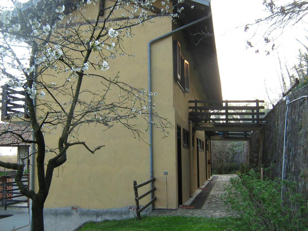 Bed and Breakfast Fattoria Del Pino Орта-Сан-Джулио Экстерьер фото