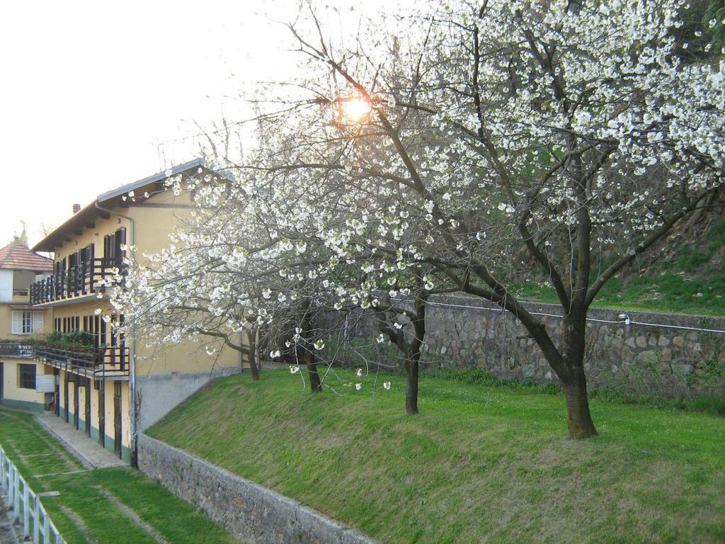 Bed and Breakfast Fattoria Del Pino Орта-Сан-Джулио Экстерьер фото