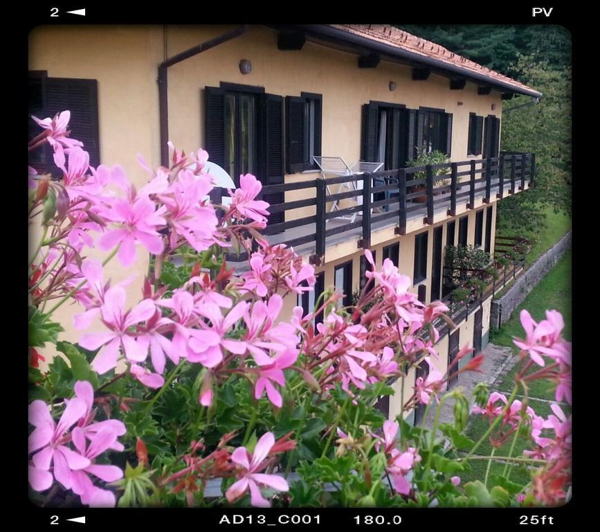 Bed and Breakfast Fattoria Del Pino Орта-Сан-Джулио Экстерьер фото
